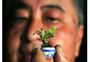 Цена честности (притча)