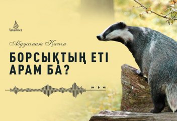 Борсықтың еті арам ба?