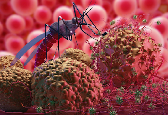 Голландцы завершили первое клиническое исследование ГМО-вакцины от малярии