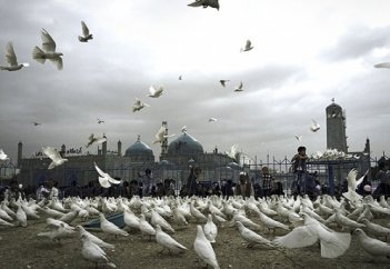 Жемчужины Хорасана – Герат и Мазари-Шариф продолжают привлекать туристов