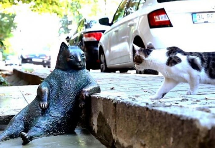 В Стамбуле поставили памятник коту, который любил задумчиво сидеть у бордюра (Фото)