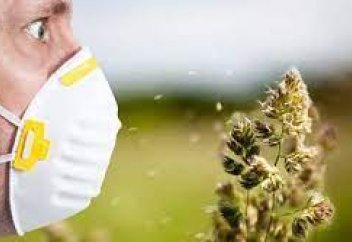 Врач перечислил методы лечения аллергии