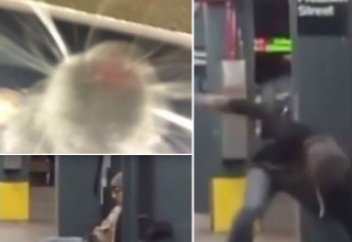 Жануарлар әлемі: Егеуқұйрық метрода ұйықтап қалған жолаушының телефонымен селфи жасады (ВИДЕО)