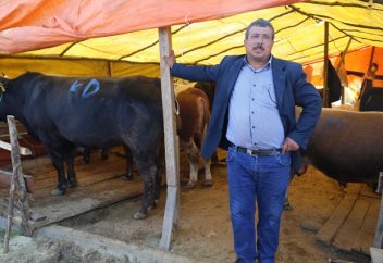 Түркияның миллионер малшылары (ФОТО)