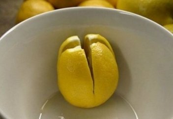 Разрезанный лимон в комнате как лекарство от легочных недугов: необычные свойства обычного фрукта