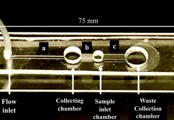 Сперматозоидті іріктейтін чип белсіздікпен күресуге көмектеседі