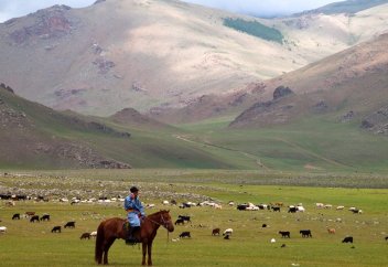 Көрші елдегі мал басы 58 млн-нан асты