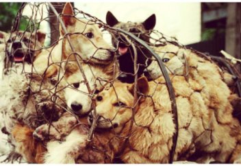 Билік ел тұрғындарын харамнан бас тартуға шақырып отыр