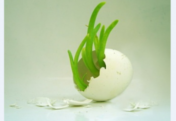 Өзіңнен баста!