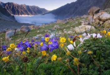 Тәкаппарлық пен береке