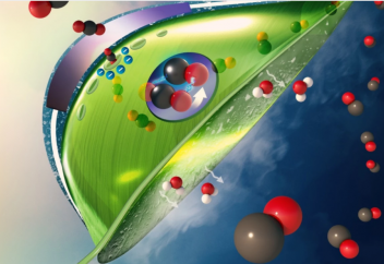 Жасанды жапырақ табиғи жапыраққа қарағанда көмірқышқыл газын 100 есе тез сіңіреді