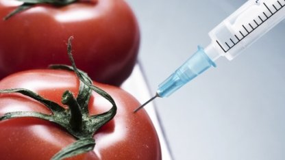 Құрамында ГМО-сы бар азық-түліктер халал ма?