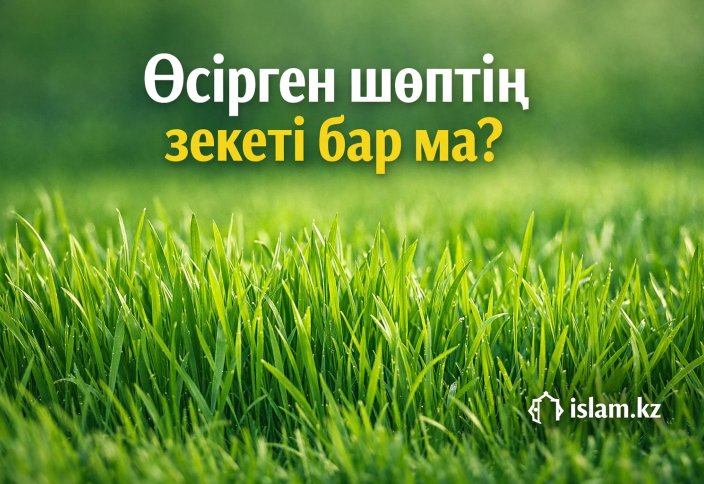 Өсірген шөптің зекеті бар ма?