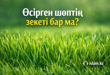 Өсірген шөптің зекеті бар ма?
