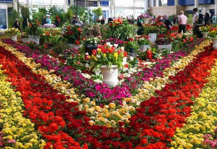 Иран занимает 17-е место по производству цветов и декоративных растений