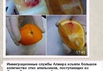 Зараженные апельсины из Ливии? Комментарии Минсельхоза РК