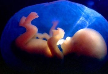 Жатырда  жатқан  жақсылық   жасаушы