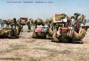 Үндістан шаһзадасының Тәуке ханға жазған хаты табылды