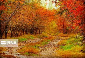 Осенняя природа в Миандоабе (фото)