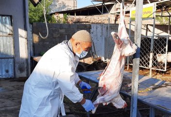 Құрбанды христиан қасапшыға сойдыруға бола ма?