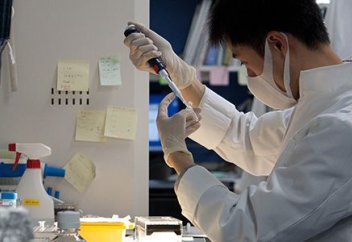 Университет Кэйо одобрил план пересадки сердечных клеток, созданных на основе iPS