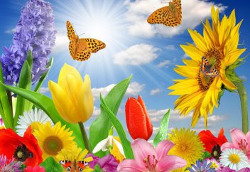 5 способов перестать беспокоиться о будущем