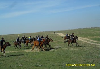 Алакөл ауданындағы аламан бәйге (ФОТО)