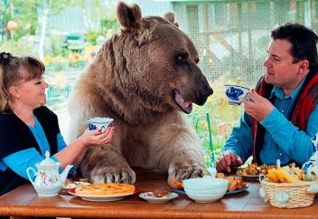 Жануарлар әлемі: Аюды балаша асырап отырған отбасы бар (фото)