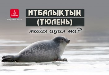 Итбалықтың майы адал ма?