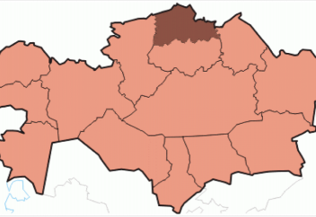 Северный регион Казахстана катастрофически вымирает