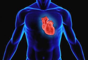 Самый бесподобный мотор в мире