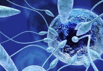 Шәует­те­гі қос­па сұй­ық­тар