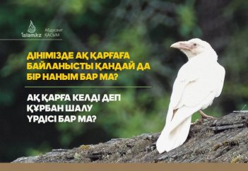 Дінімізде ақ қарғаға байланысты қандай да бір наным бар ма? Ақ қарға келді деп құрбан шалу үрдісі бар ма?