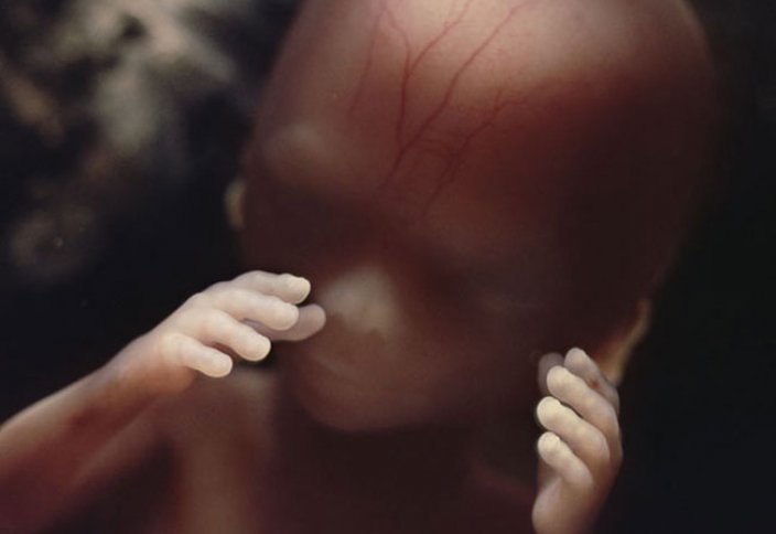 Ерлі-зайыптылар үшін жыныстық қатынас