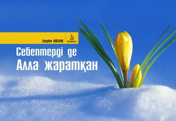 Себептерді де Алла жаратқан