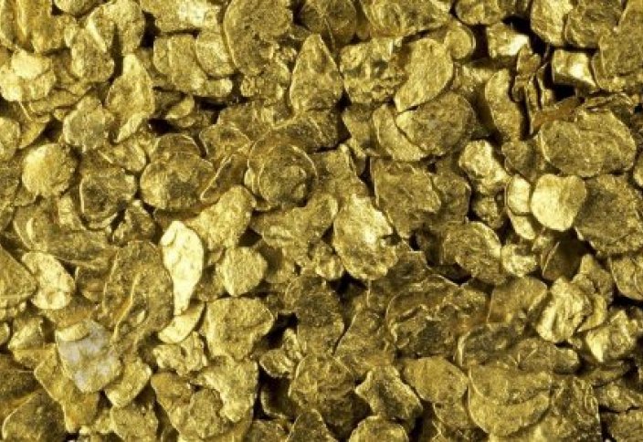 В Австралии обнаружены грибы, выделяющие золото