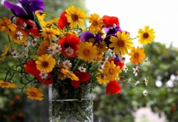 ГҮЛГЕ АЙНАЛҒАН БАЛЫҚ