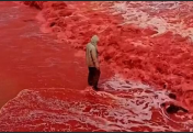 Пляж и море в Иране после дождя окрасились в «кровавый» цвет (видео)