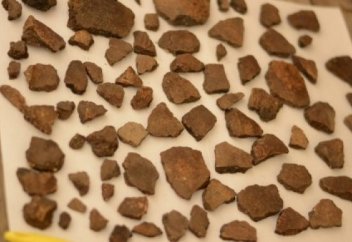 Ақмола облысынан қола дәуіріне тиесілі археологиялық сенсация табылды