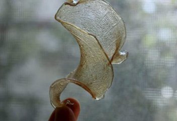 Пластиктің баламасы жасалуы мүмкін