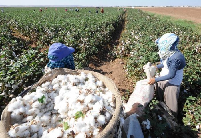 Альметьевск: Қыздарға жезөкшелік жұмыс