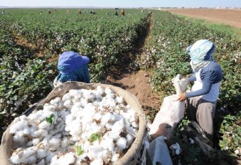 Өзбек үкіметі жеңіл жүрісті қыздарға жұмыс тауып берді