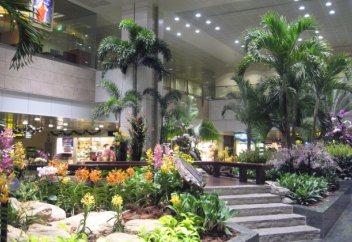 Путешественники выбрали лучший аэропорт мира