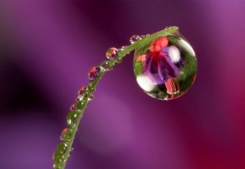 КІМГЕ ТИДІ, ТАМШЫДАЙЫН КӨМЕГІМ ?