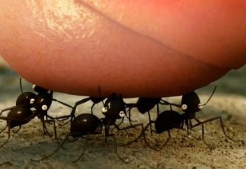 Өле жегенше, бөле же!