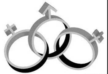 Әйел үстіне әйел алудың (полигамия) конституцияға қаншалықты сай келетіні сарапталады