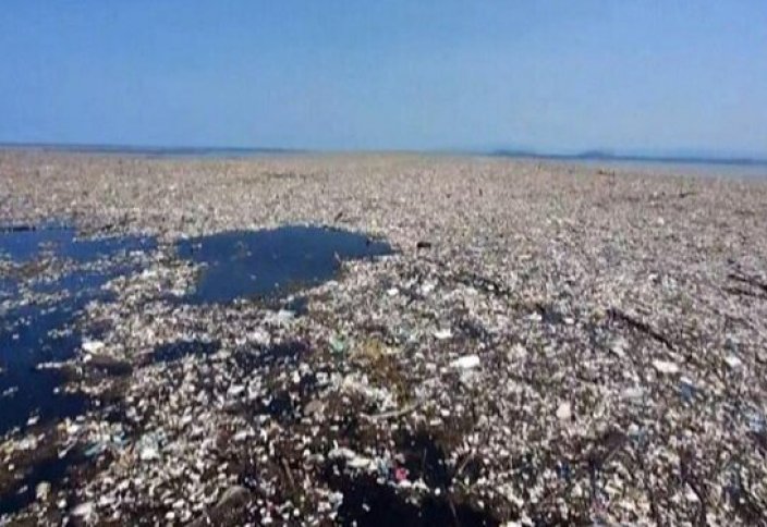 Самый большой «мусорный остров» в океане достиг размеров Франции .