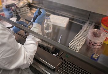 Зертханада тұңғыш рет сперматозоид өсірілді