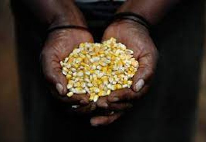 Мировая продовольственная безопасность под угрозой