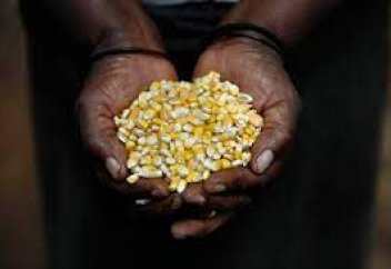 Мировая продовольственная безопасность под угрозой